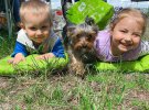 В некоторых городах Польши за содержание собаки нужно платить налог, примерно 950 гривен в год