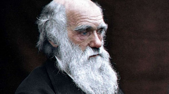 Την εποχή του θανάτου του Δαρβίνου το 1882, η θεωρία του έγινε ευρέως αποδεκτή