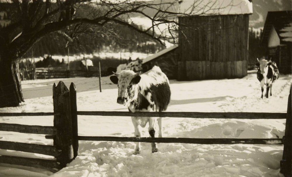 Ворохта: яким був популярний гірськолижний курорт 80 років тому (ФОТО) Ворохта: фото 80-літньої давності зроблені польським фотографом Генриком Поддембським