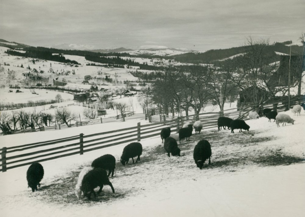 Ворохта: яким був популярний гірськолижний курорт 80 років тому (ФОТО) Ворохта: фото 80-літньої давності зроблені польським фотографом Генриком Поддембським