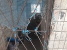 В подвале на скамье так и осталась спецодежда дворника