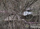 Відрізані частини тіла, які знайшли школярі у Снопківському парку Львова, належали 58-річній місцевій жительці