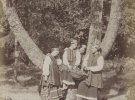 Полтавская губерния