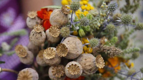 На Маковія до церкви носили святити мед, фрукти і квіти