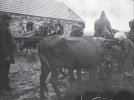 Одной из причин Голодомора стало раскулачивание крестьян. У людей забирали скот и имущество. Фото сделано в 1930-х годах