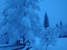 В Карпатах, у Славську до 18 градусів морозу і сніг
