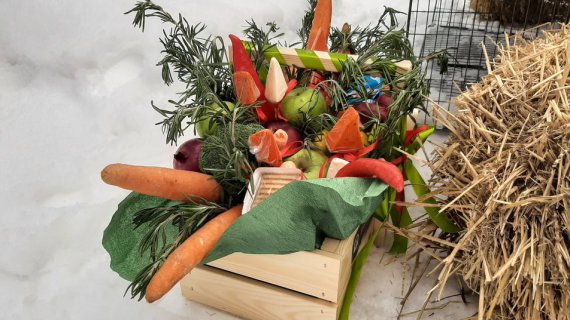 Бабак Тимко