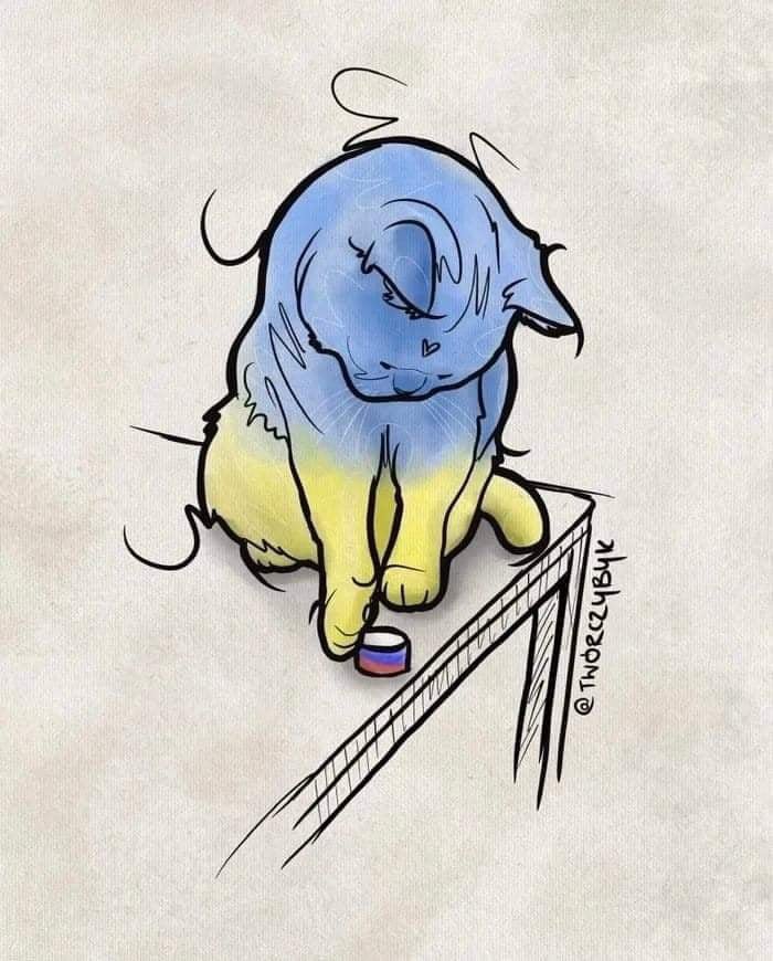 1075156_7_w_800.jpg?v=0