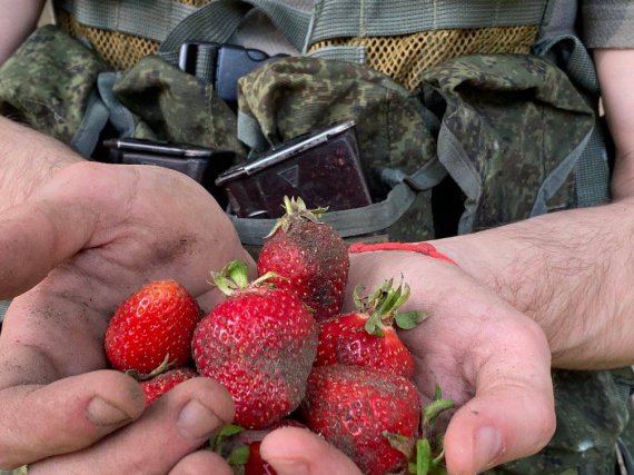 На Херсонщині російські загарбники приходять до місцевих і намагаються найнятися на збір полуниці