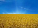 Найпопулярніше пояснення кольорів українського прапора - синя смуга символізує небо, а жовта – золоті пшеничні лани