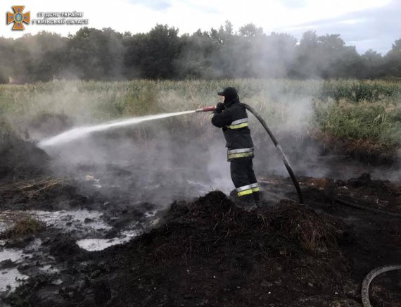 На Київщині зранку 5 вересня гасять пожежі на торф’яниках