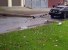 У неділю в тимчасово окупованому Херсоні підірвали авто колаборанта Олега Тютюрая. 