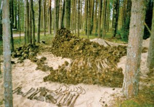 Масові поховання в урочищі Сандармох біля міста Медвеж’єгорськ – нині райцентр Республіки Карелія, знайшли влітку 1997-го історики Веніамін Йофе, Ірина Фліге та Юрій Дмитрієв. Вони розкопали останки десятків людей. 27 жовтня того року відкрили меморіальний знак на честь розстрілу 1111 в’язнів Соловецького табору