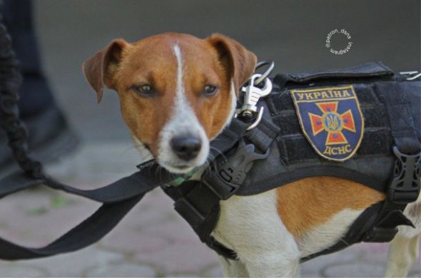 Патрон опублікував фото з ранкового шикування, на яких він був присутній зі своїми колегами