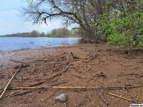 Село Чечелеве в Кам'янопотоківській сільській громаді Кременчуцького району Полтавської області опинилося в зоні підтоплення - цього року вода досягла приватних домоволодінь уперше за майже пів століття