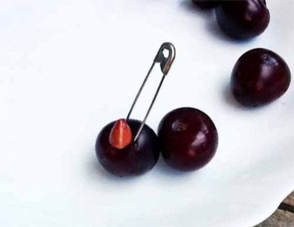 Мастер-класс - секретные техники снятия косточек из сочной вишни, которые помогут вам насладиться ее ароматом и вкусом безопасно и без лишних хлопот Как вытащить косточки из вишни