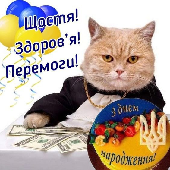 Поздравление с днем рождения мужчине: как красиво и уместно поздравлять ...