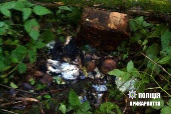 На Прикарпатті 23-річна жінка задушила і намагалася спалити немовля