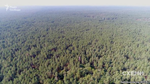 Резиденція "Залісся" тривалий час була улюбленим місцем відпочинку президента-втікача Януковича