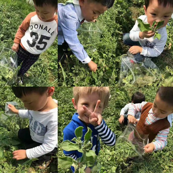 Соціальні практики у дитячому садочку.