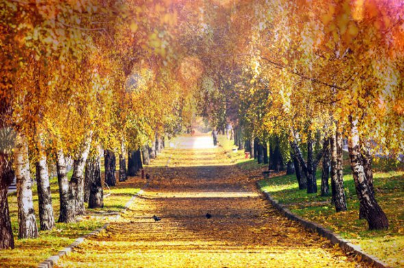 22 вересня - День осіннього рівнодення. В цей день спалюють старі непотрібні речі