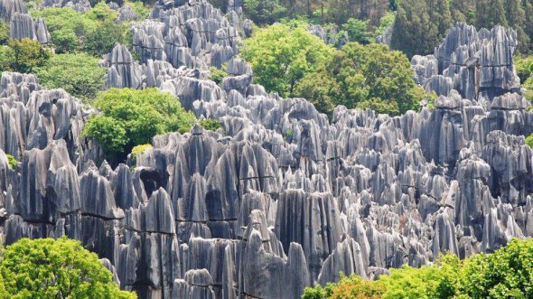 Кам'яний ліс, Китай