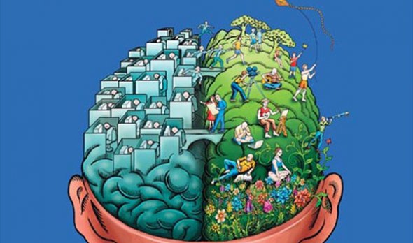 Здібності людей залежать від того, яка півкуля мозку у них більш розвинена