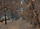Из-за катастрофического снегопада в Москве падают деревья и гибнут люди