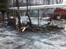 В Днепре неизвестные пытались заживо сжечь собаку Анику. Собака спаслась, но получила сильные ожоги