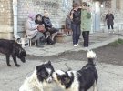 "Життя, яке вважають за краще не помічати", - каже фотограф про свою роботу