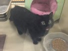 Фото от людей, которые работают с животными