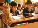Кот Томбо сидит в школе на уроках вместе с третьеклассниками