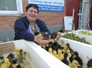 Апрельский ажиотаж - с чем едут к родственникам в поминальную неделю
