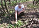 Із глибини лісу долинає ніжний квітковий запах. За 18 років, коли екологи охороняють ділянки, першоцвіти розрослися, ущільнилися.