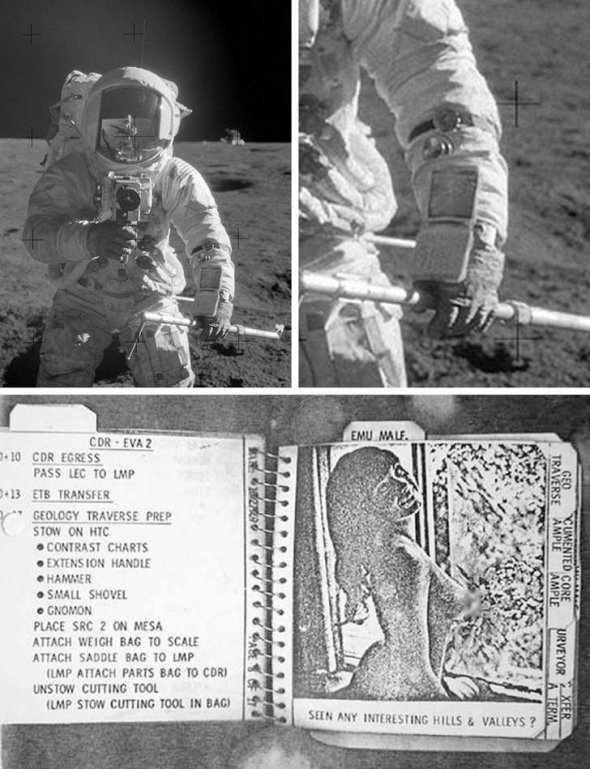 Журнал "Playboy"