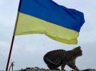 Коты на войне