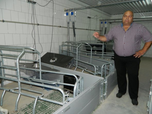 Вінниччина: в селі Іванів відкривають свинокомплекс на 7 тисяч свиней з Данії, яких захистять від африканської чуми 