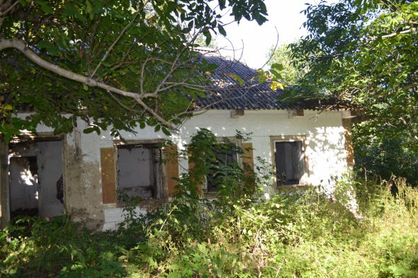 Хата чоловіка, який змурував собі піч з кам'яної голови тура