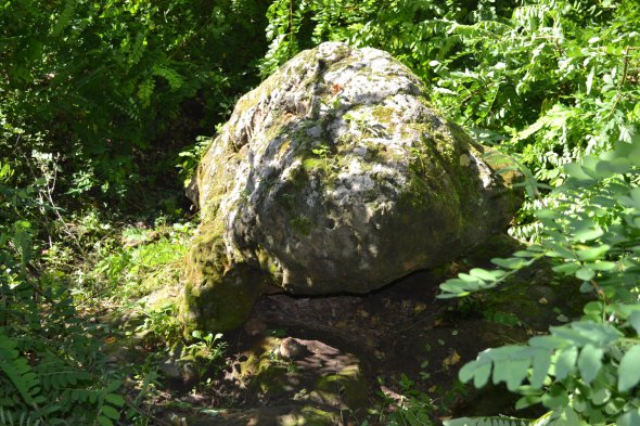 Бик не має голови - її відбив місцевий чоловік, щоб вимурувати собі піч в хаті