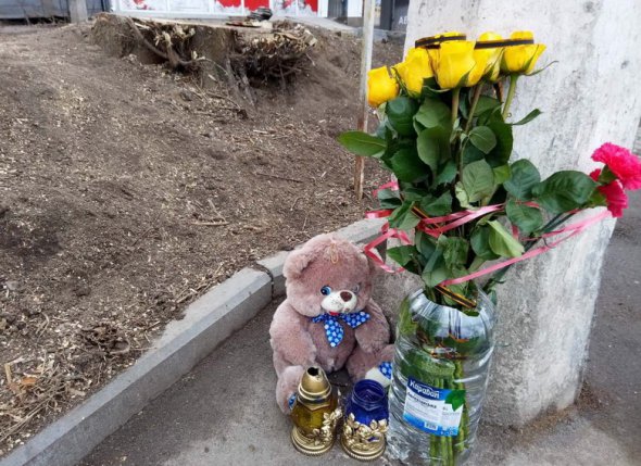 появились подробности гибели 6-классницы под поваленным деревом появились подробности гибели 6-классницы под поваленным деревом