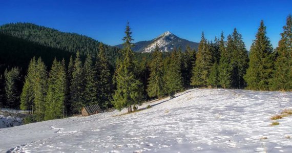 ÐаÑпаÑи заÑипало ÑнÑгом, але ÑÑава вÑе одно пÑоÑоÑÑÐ°Ñ Ð· пÑиÑ
одом веÑни.