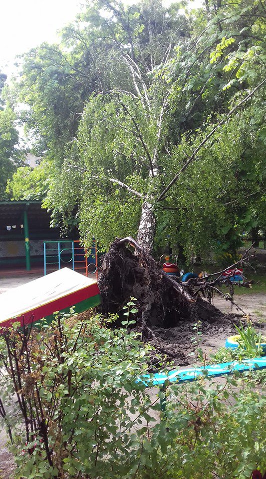 Вдень Білою Церквою прокотився сильний вітер з дощем