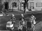Опублікували знімки класика французької фотографії Едуарда Буби