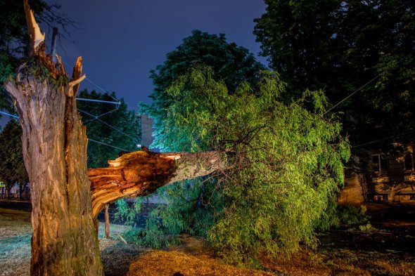 На Дніпропетровщині буревій валив дерева та конструкції будівель. Рятувальники ліквідовують наслідки негоди