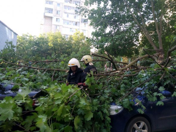 На Рівненщині збитки від негоди ще підраховують, попередньо, йдеться про сотні тисяч гривень