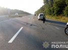 На Житомирщині чоловік на возі спровокував аварію із двома ыномарками. Загинув сам та двоэ його пасажирыв. Ще двоэ людей зазнали травм