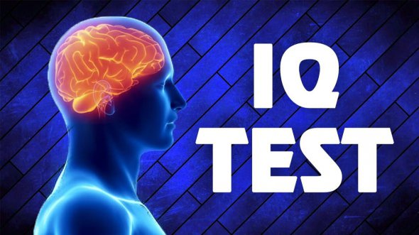 ÐÐ°Ð¹ÐºÐ¾ÑÐ¾ÑÑÐ¸Ð¹ Ñ ÑÐ²ÑÑÑ IQ-ÑÐµÑÑ