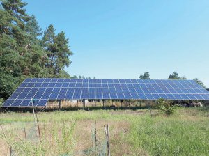 Костянтин Соловйов із села Свидівок на Черкащині встановив на власному городі 117 сонячних панелей. Вони займають 130 ”квадратів” землі