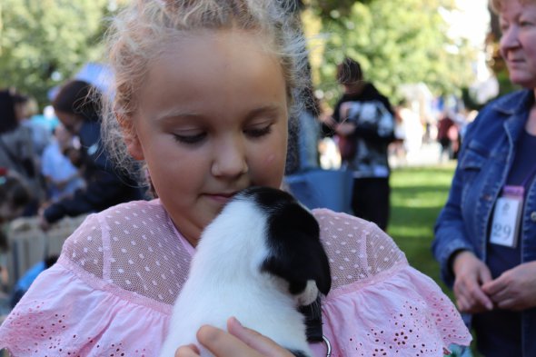 "Хвост-фест", Винница 2019 "Хвост-фест", Винница 2019