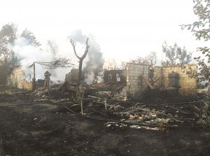 Пожежники майже дев’ять годин гасили вогонь у селі Любимівка Вишгородського району на Київщині